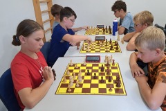 Šachové soustředění v Horním Bradle  - večerní blitz [28. 8. 2024]